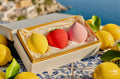 Makeup Gift Set — Amalfi Fruit Trio Premium Cosmetic Sponge - Aesthetic  -Flawless